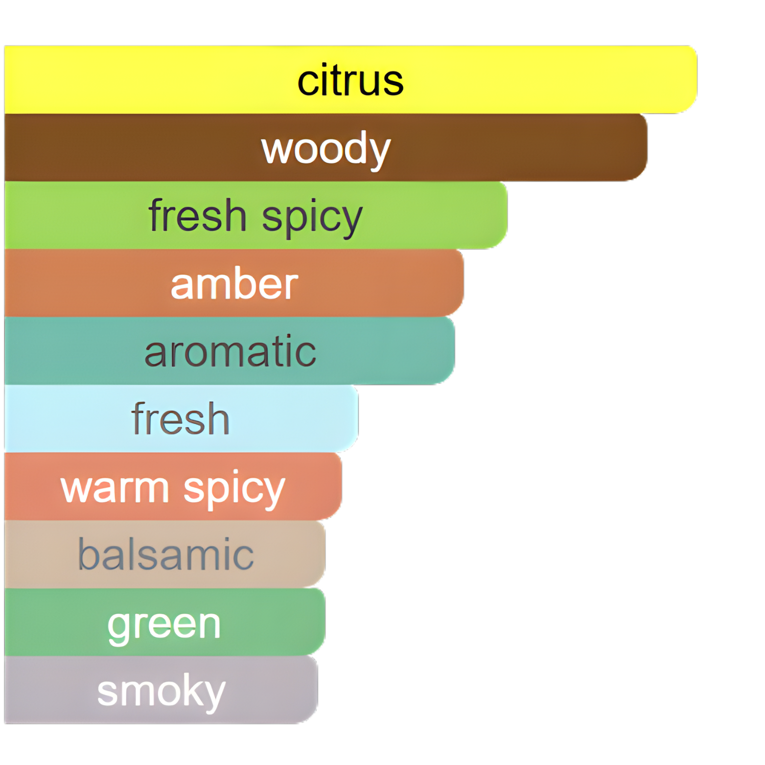 CLUB DE NUIT ICONIC ARMAF