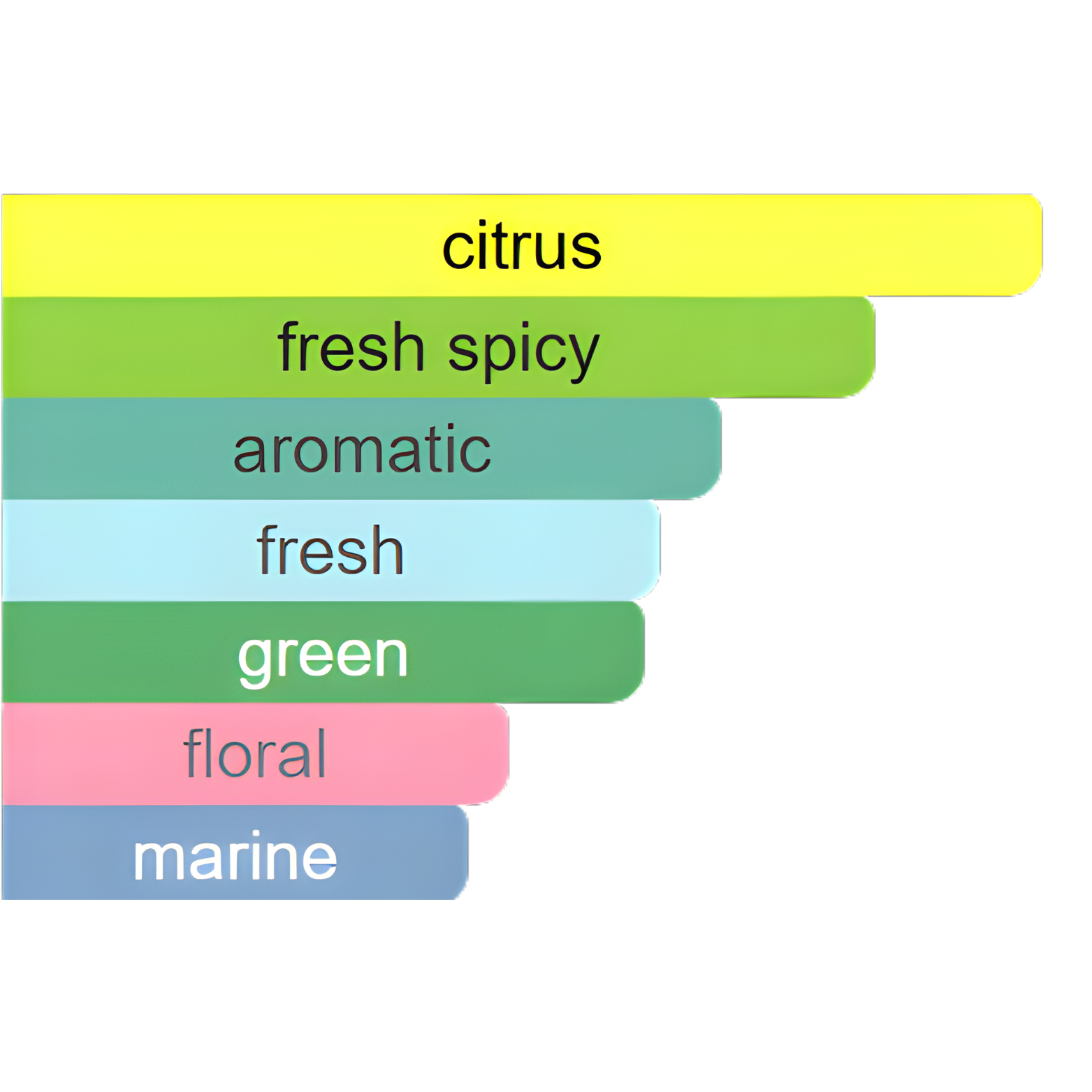 ESSENCE DE BLANC - FRENCH AVENUE