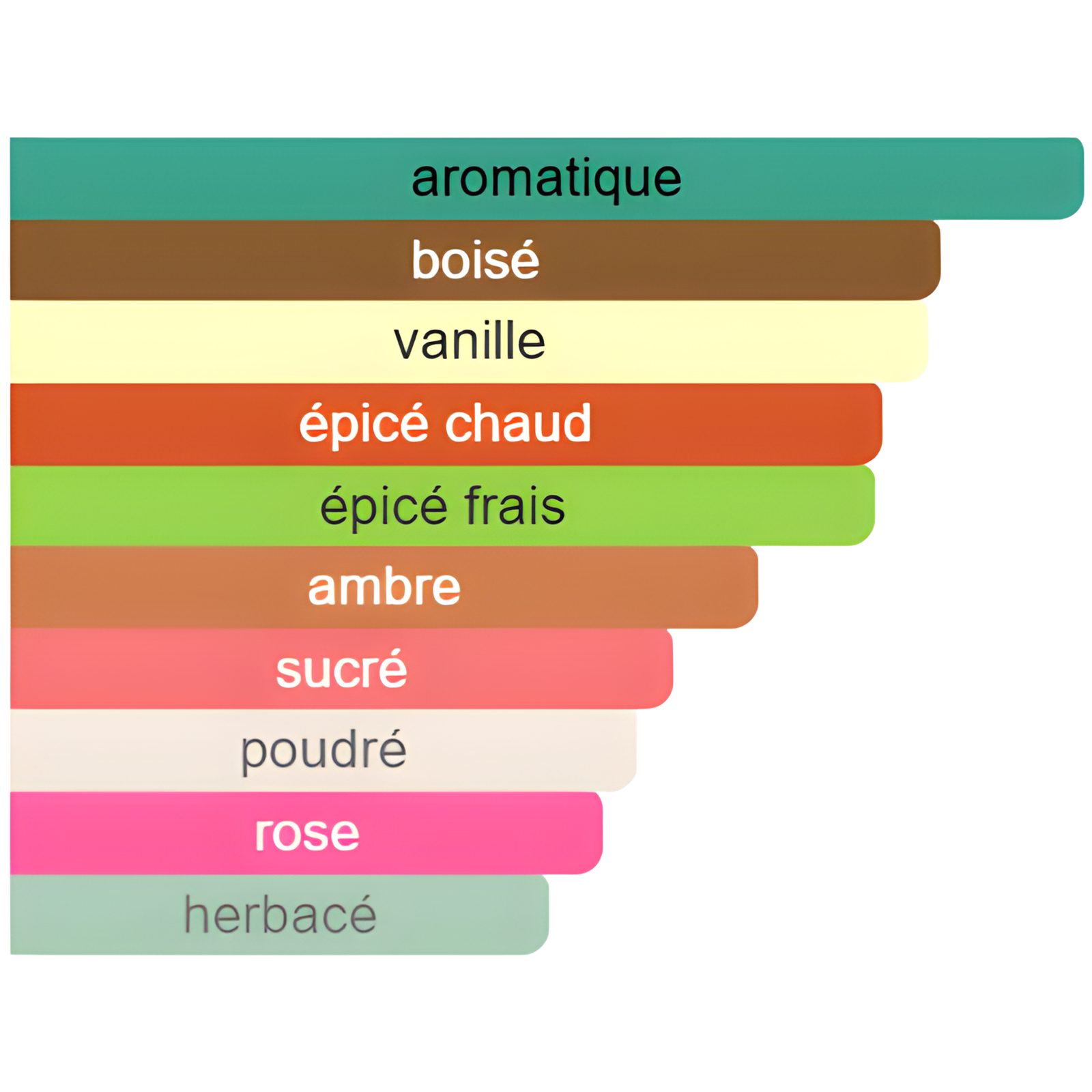 Scandant Men Le Parfum